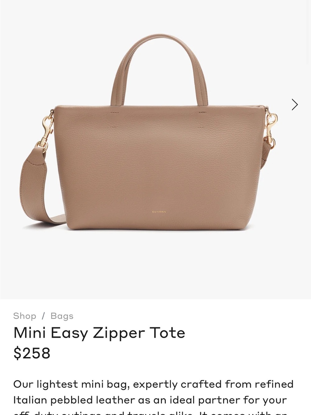 Mini Easy Zipper Tote - Taupe